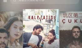 伴侣在线观看,伴侣在线观影时光